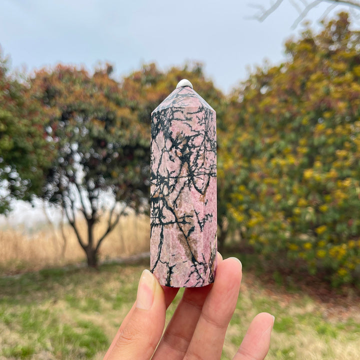 Rhodonite Point