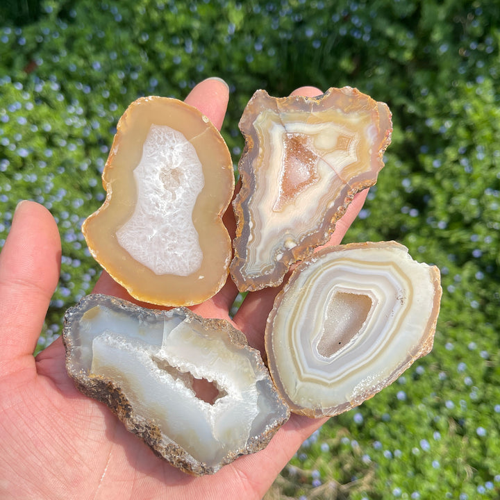 Natural Crystal Agate Geode Slice