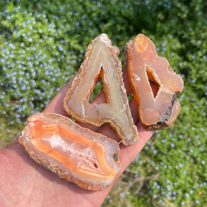 Natural Crystal Agate Geode Slice