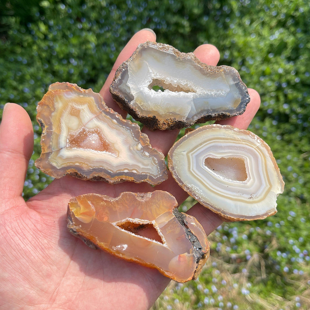 Natural Crystal Agate Geode Slice