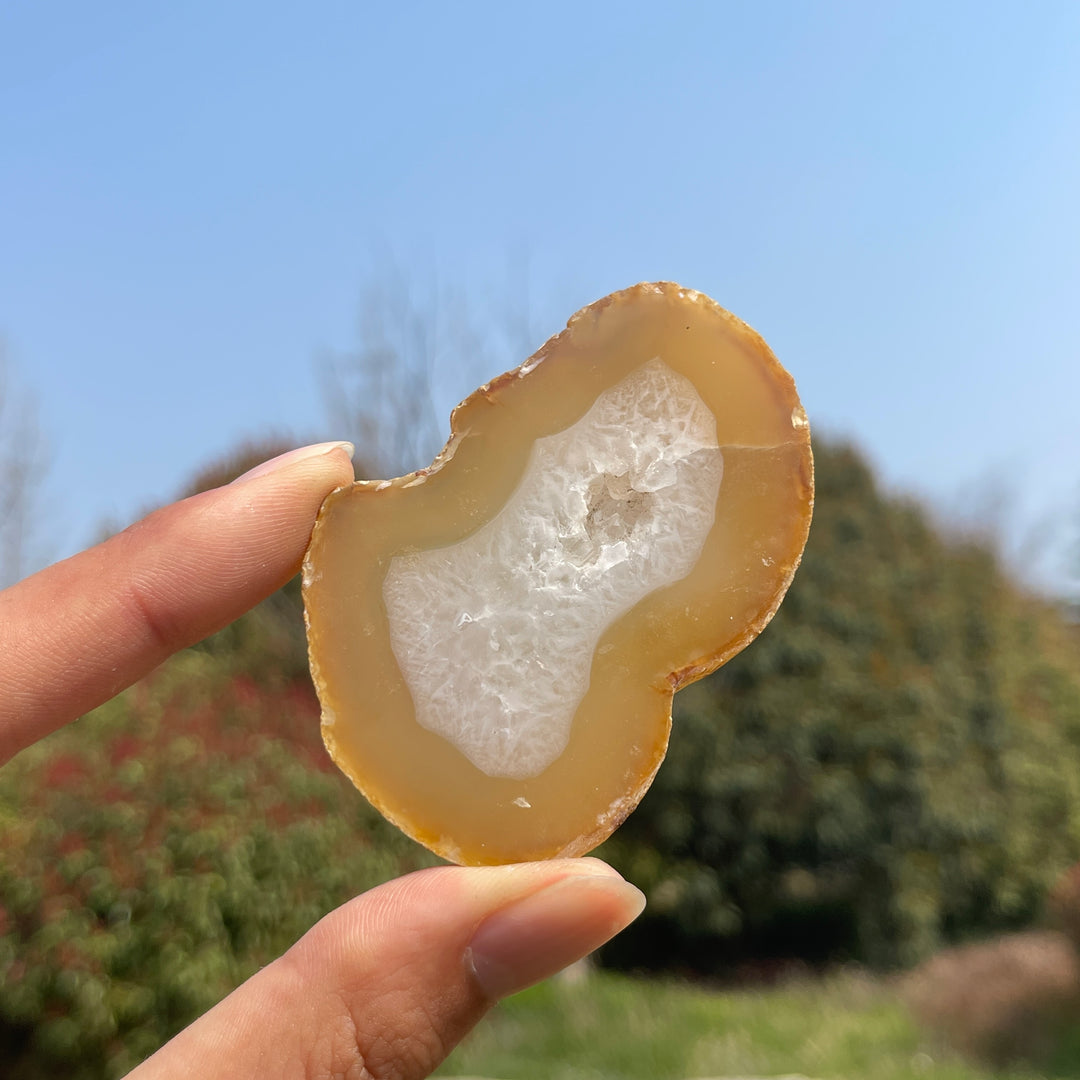 Natural Crystal Agate Geode Slice