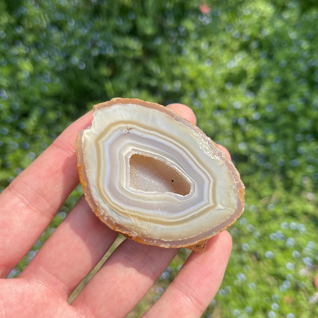 Natural Crystal Agate Geode Slice