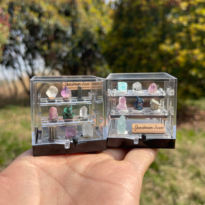 Mystery Specimen Box