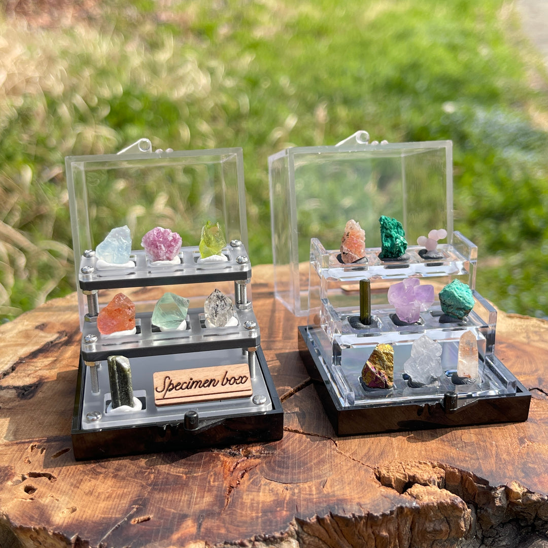 Mystery Specimen Box