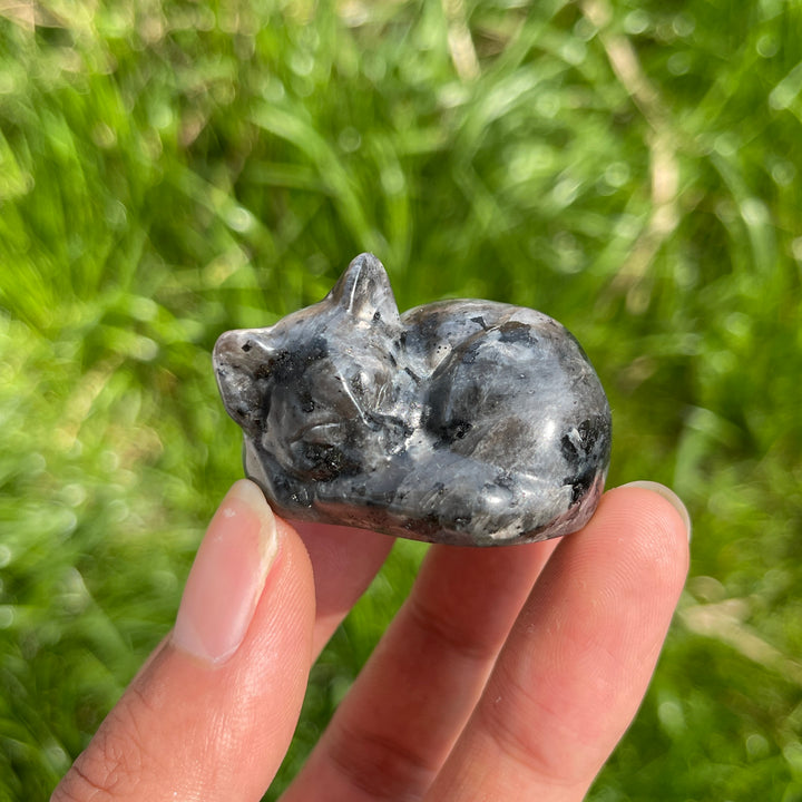Natural Crystal Larvikite Sleeping Cat