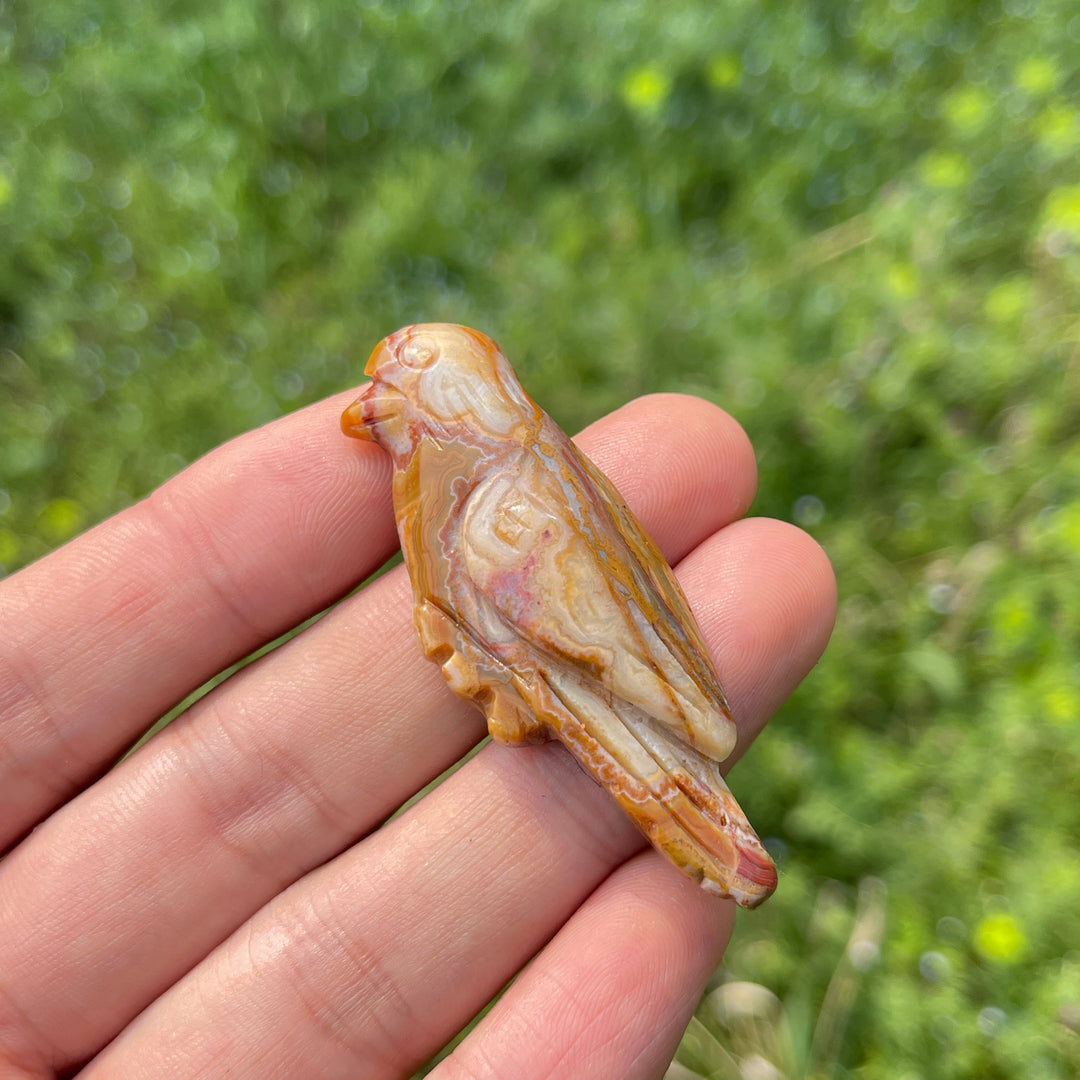 Natural Carved Crystal Hummingbird