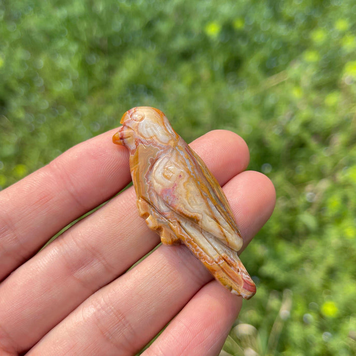 Natural Carved Crystal Hummingbird