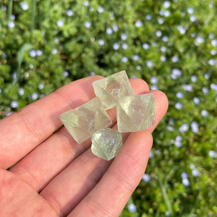 A Slightly Imperfect Natural Green Fluorite Octahedron Crystal