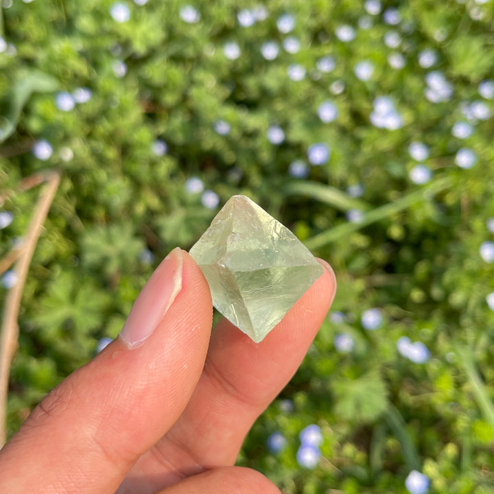 A Slightly Imperfect Natural Green Fluorite Octahedron Crystal