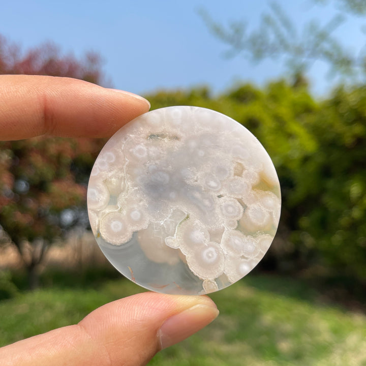 Flower Agate Disc Slice