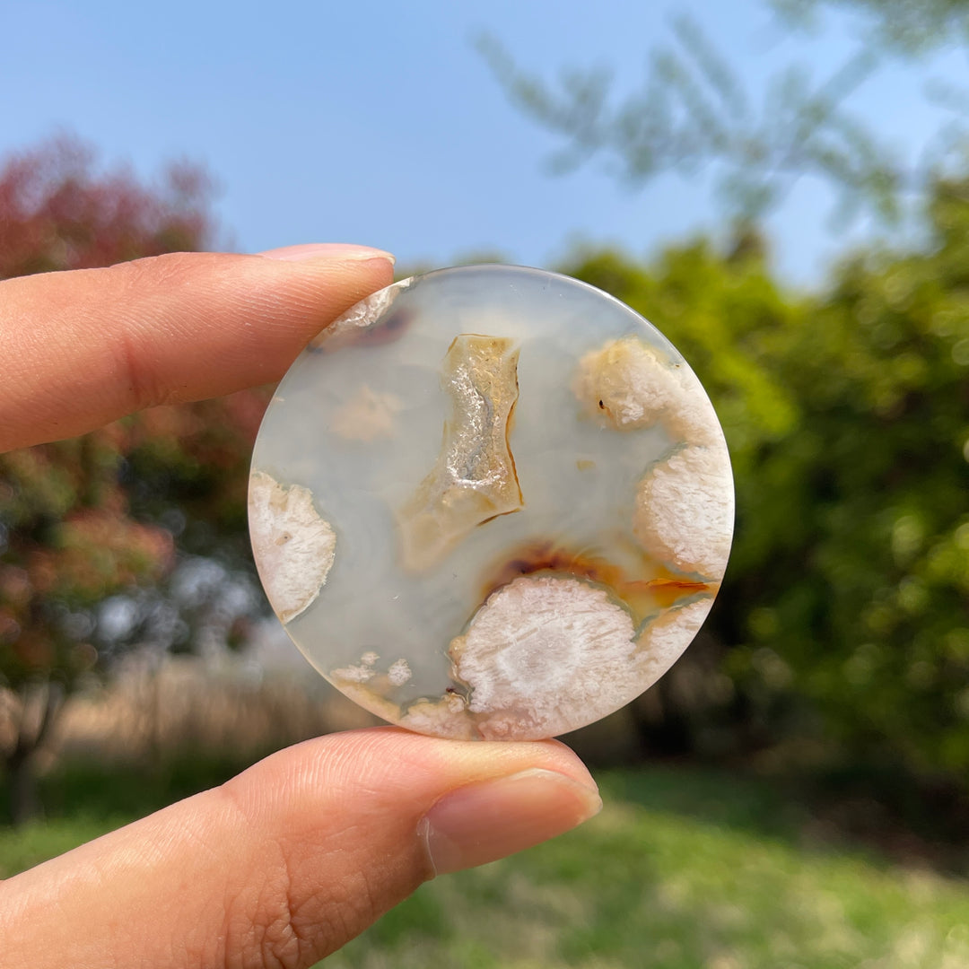 Flower Agate Disc Slice
