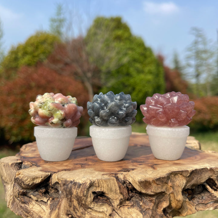Natural Crystal Succulent Potted Plant