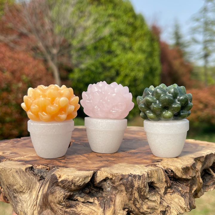Natural Crystal Succulent Potted Plant