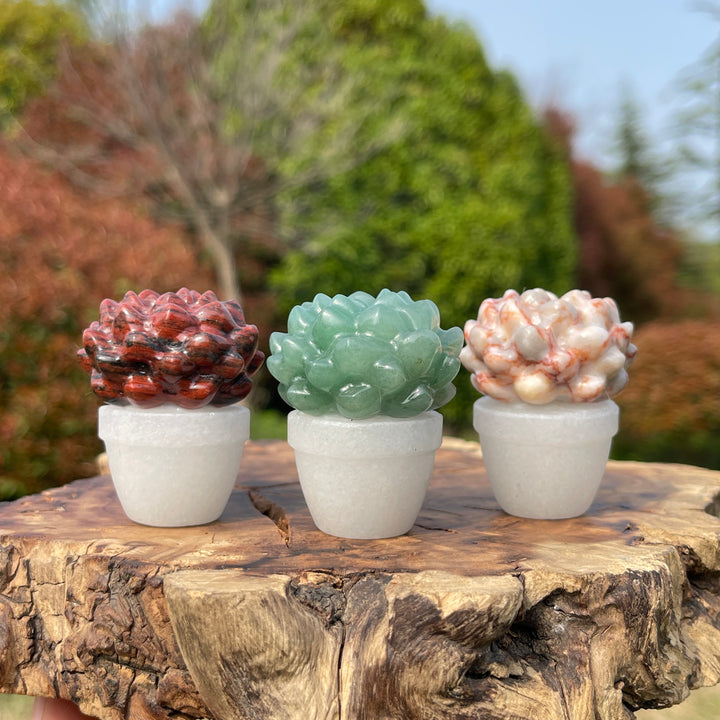 Natural Crystal Succulent Potted Plant