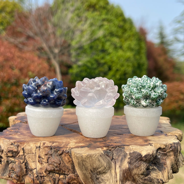 Natural Crystal Succulent Potted Plant