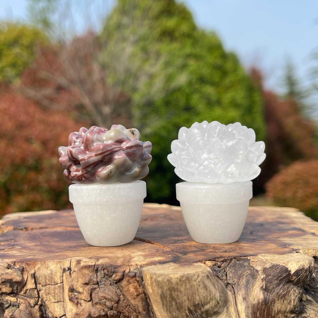 Natural Crystal Succulent Potted Plant