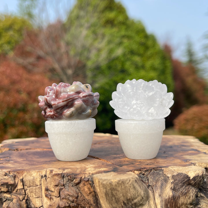 Natural Crystal Succulent Potted Plant