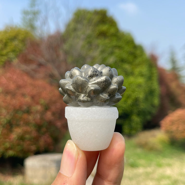 Natural Crystal Succulent Potted Plant