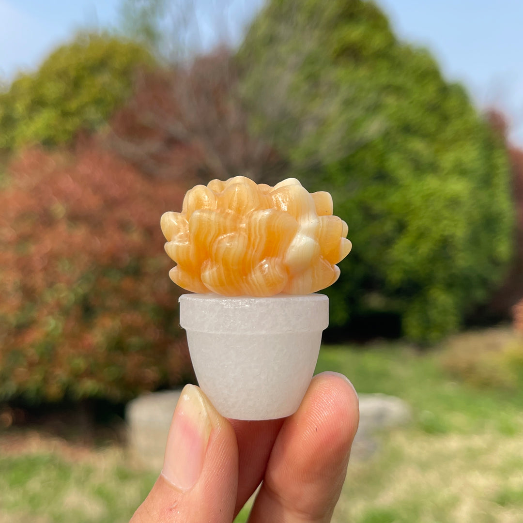 Natural Crystal Succulent Potted Plant
