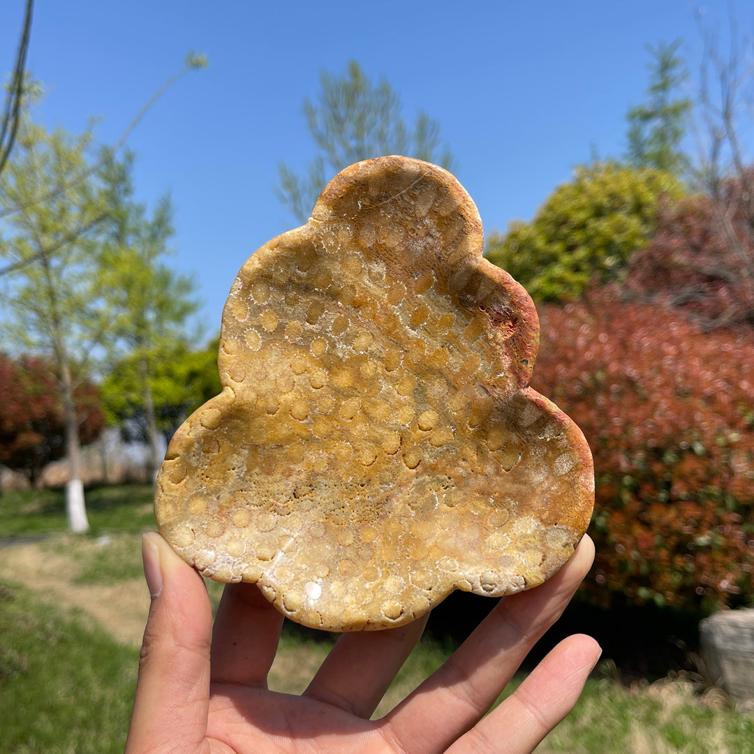 Unique,Natural Coral Fossil Crystal Flower Bowl