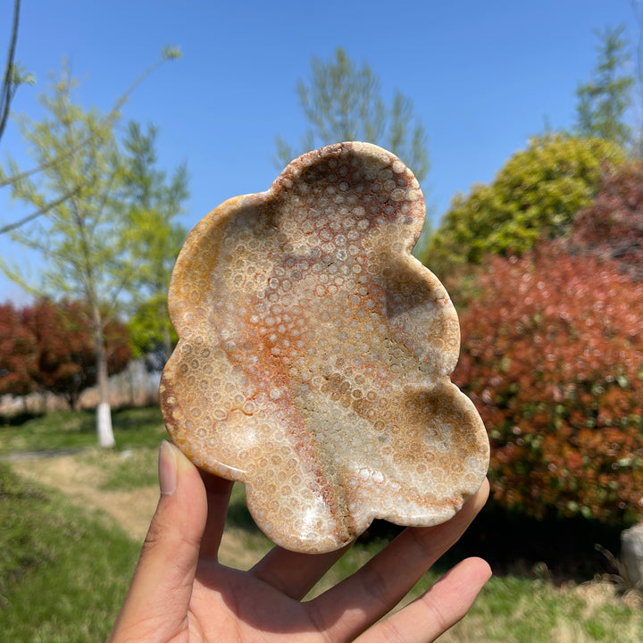 Unique,Natural Coral Fossil Crystal Flower Bowl