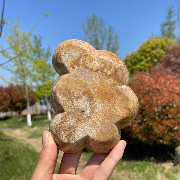 Unique,Natural Coral Fossil Crystal Flower Bowl