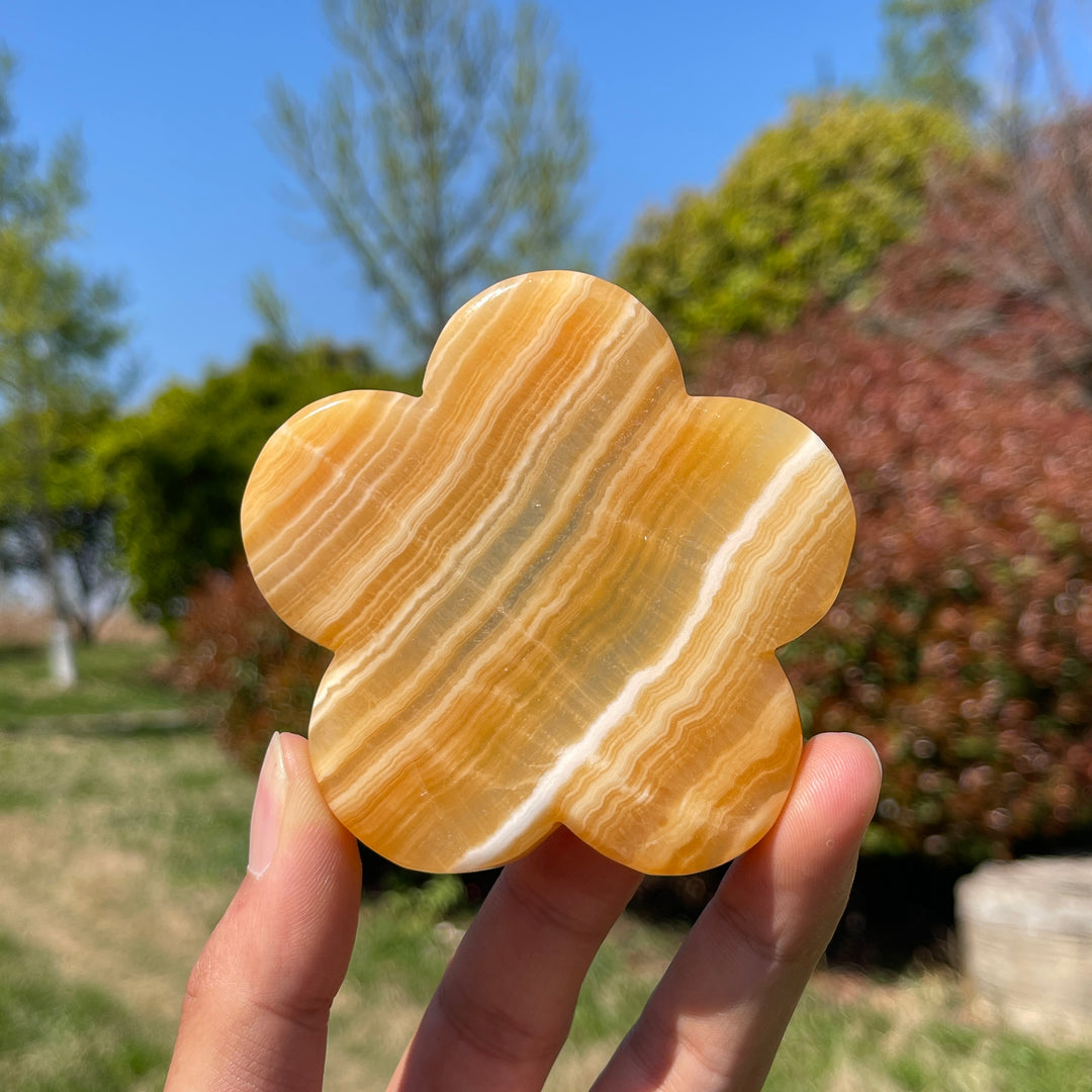 Natural Yellow Calcite Multi-Shape Bowls