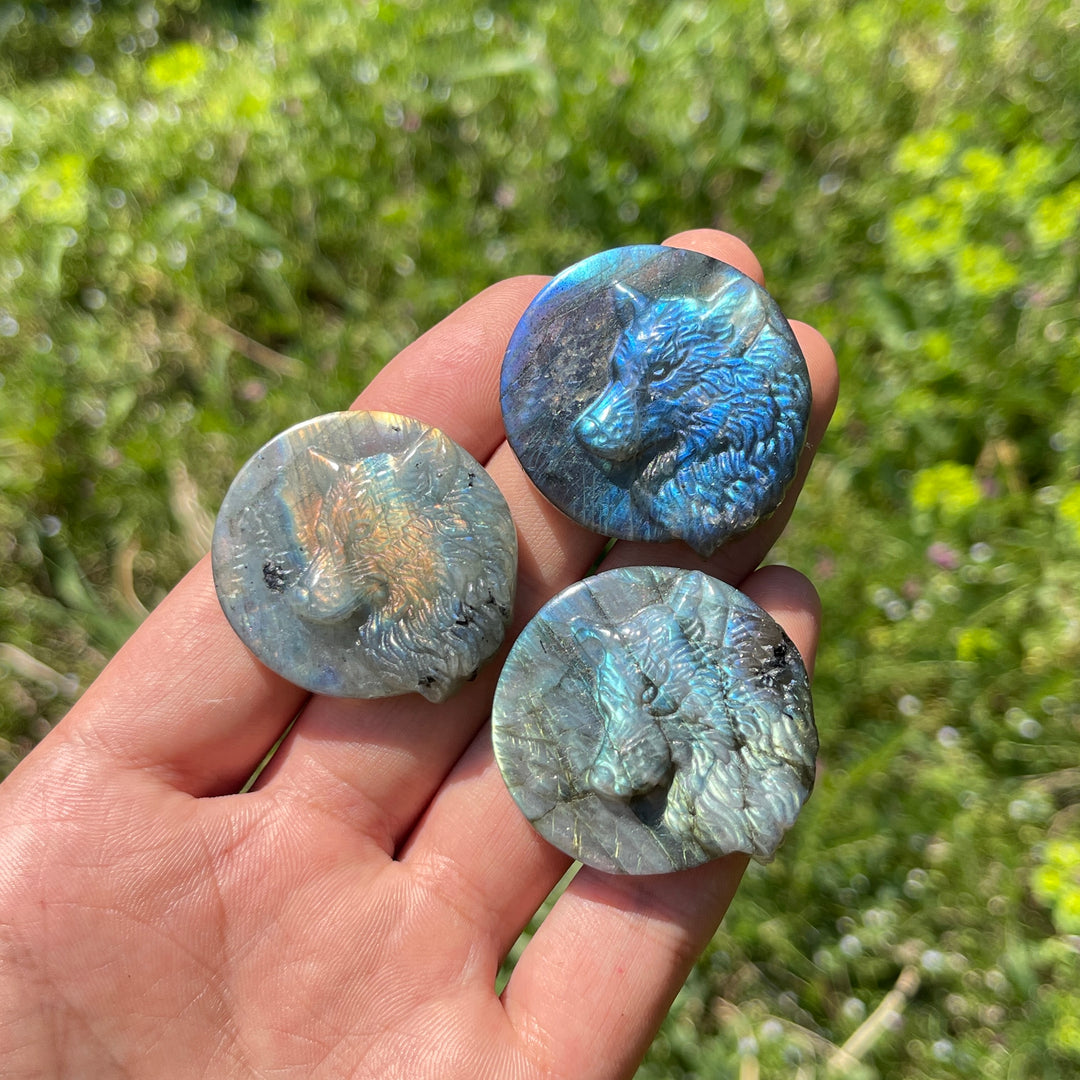 Natural Labradorite Carved Wolf Head Coin