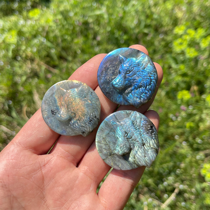 Natural Labradorite Carved Wolf Head Coin