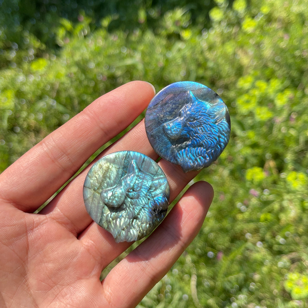Natural Labradorite Carved Wolf Head Coin