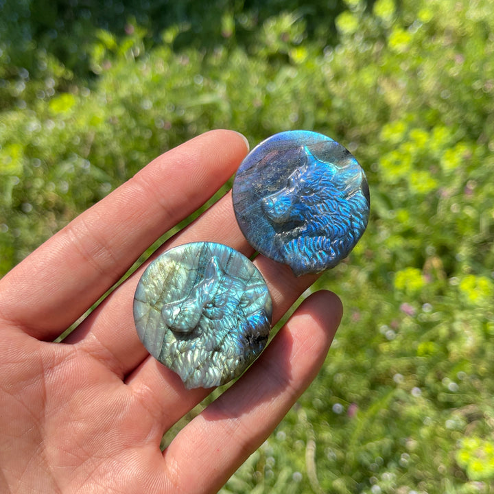 Natural Labradorite Carved Wolf Head Coin