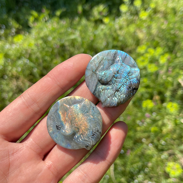 Natural Labradorite Carved Wolf Head Coin