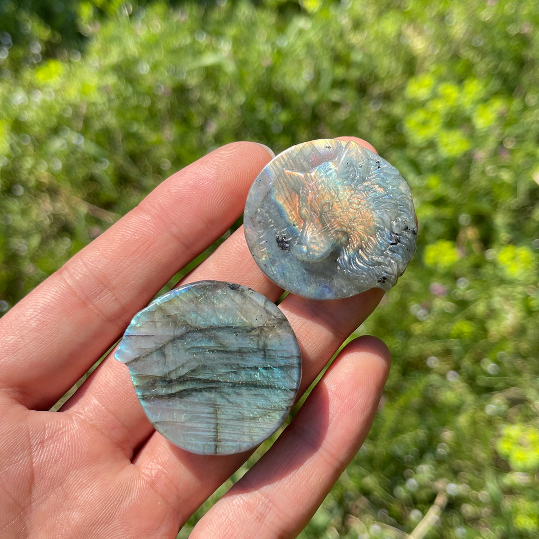 Natural Labradorite Carved Wolf Head Coin