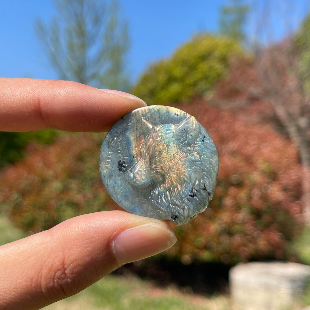 Natural Labradorite Carved Wolf Head Coin