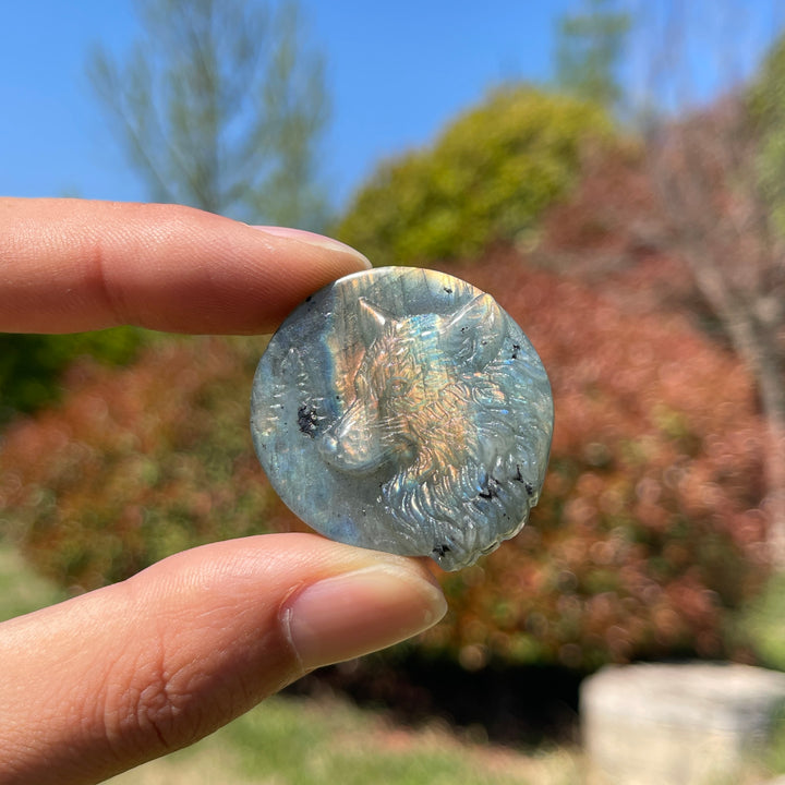 Natural Labradorite Carved Wolf Head Coin
