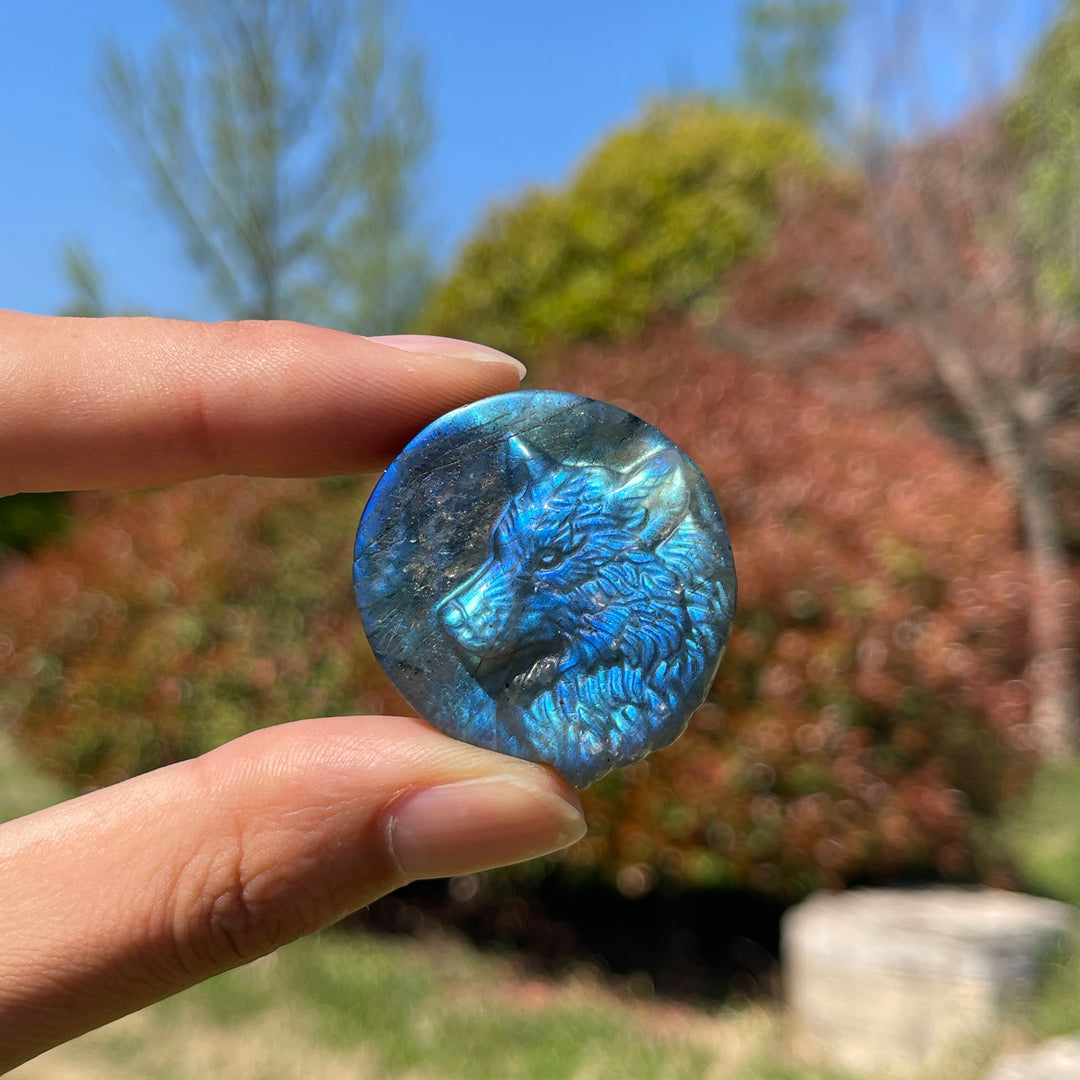 Natural Labradorite Carved Wolf Head Coin