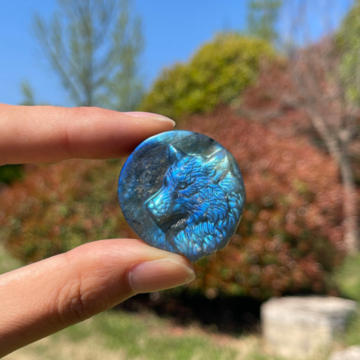 Natural Labradorite Carved Wolf Head Coin