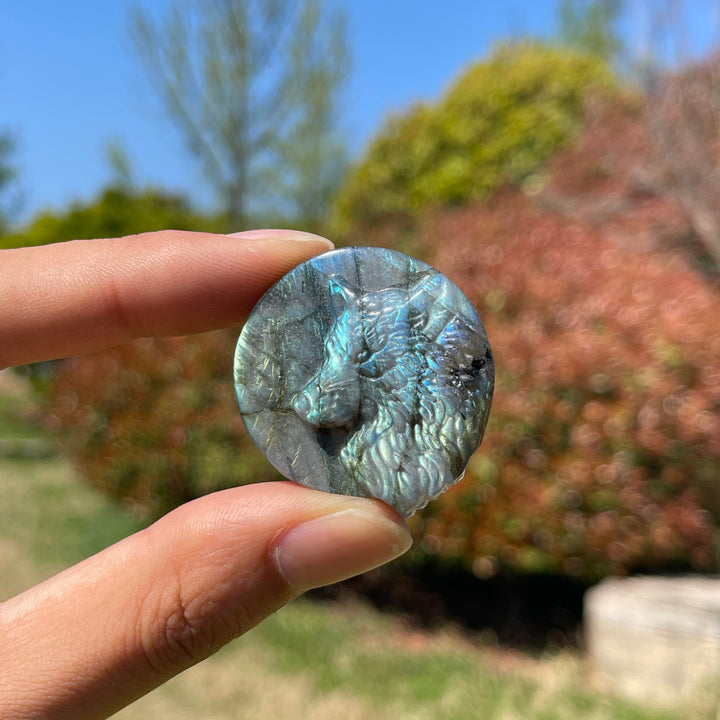 Natural Labradorite Carved Wolf Head Coin