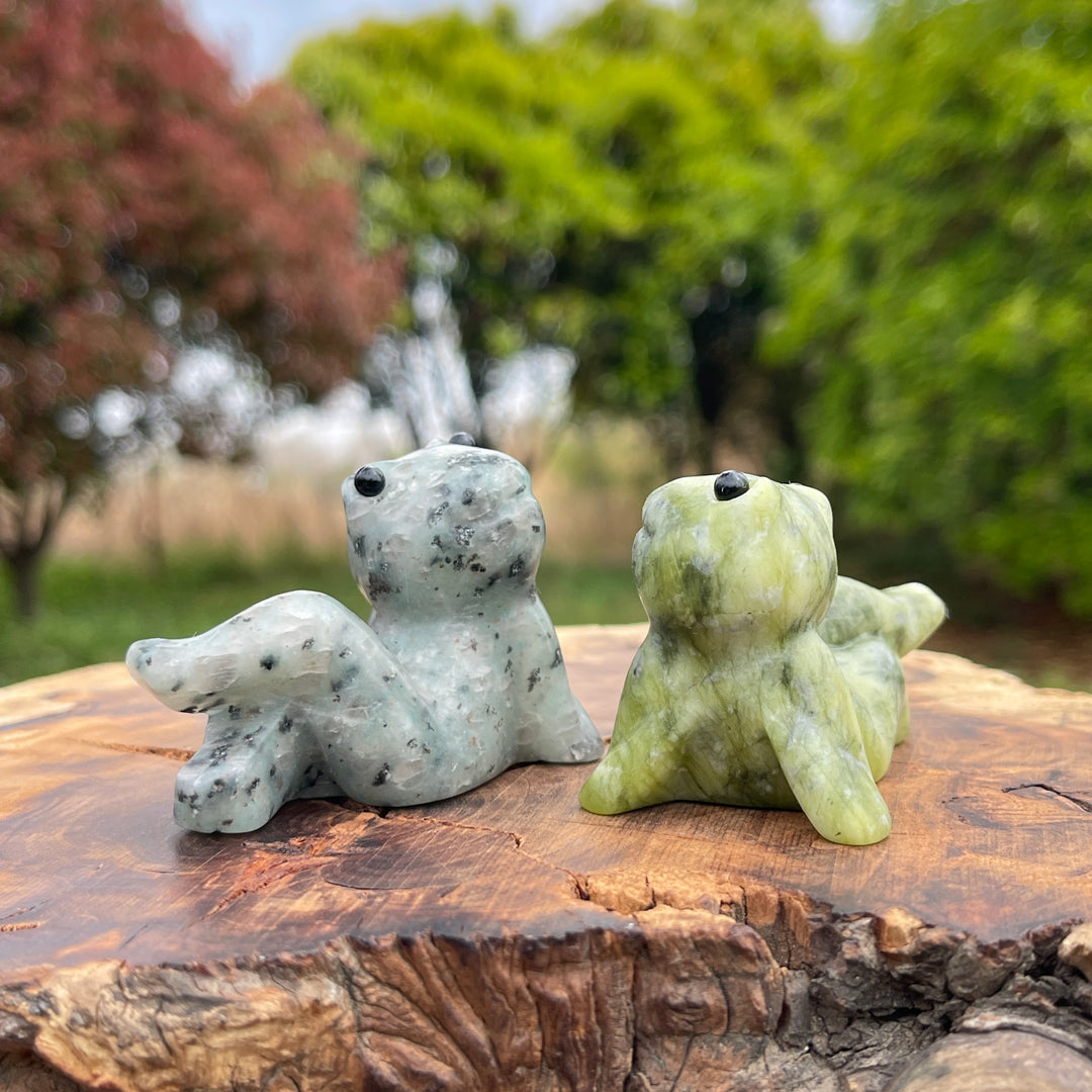 Natural Crystal Carved Lazy Frog