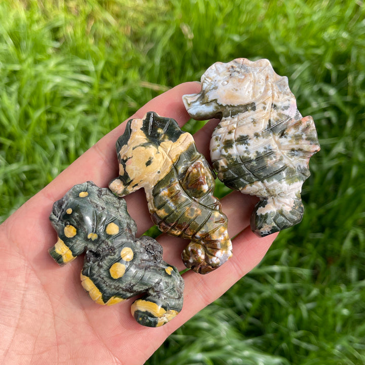 Natural Crystal Ocean Jasper Sea Life Carvings