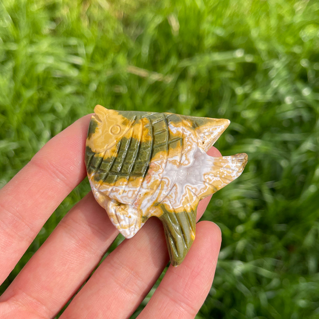 Natural Crystal Ocean Jasper Sea Life Carvings