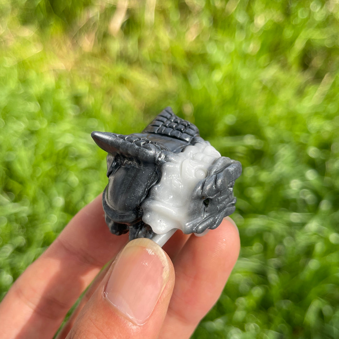 Natural Crystal TaiJi Stone Dragon Turtle