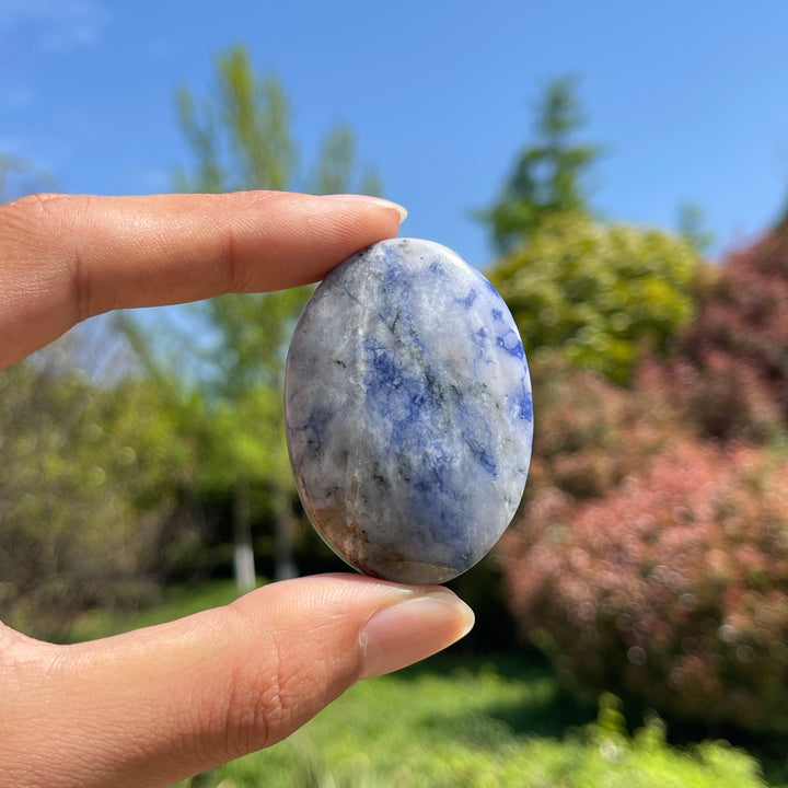 Natural Crystal Blue And White Porcelain Sodalite Palm Stone