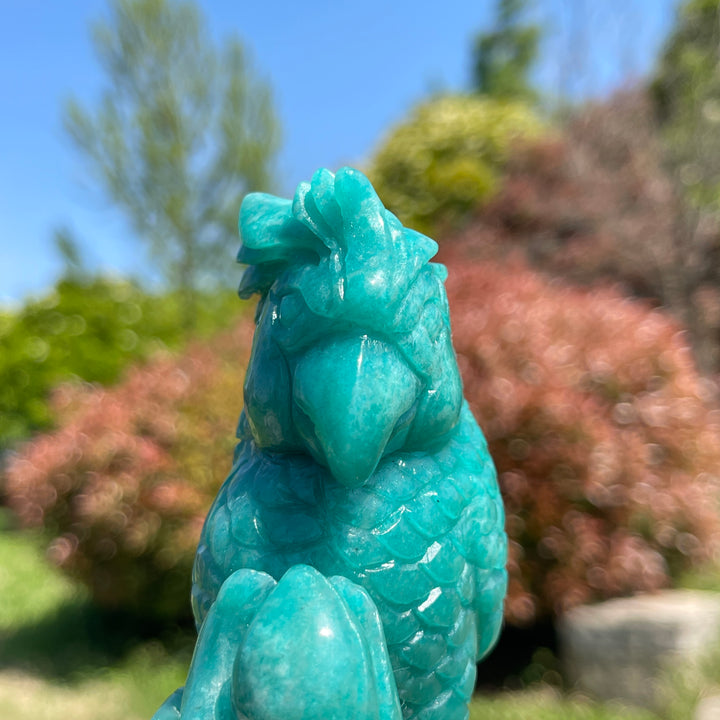 Natural Crystal Amazonite Parrot Carving