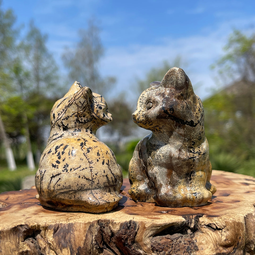 Picture Jasper Cat