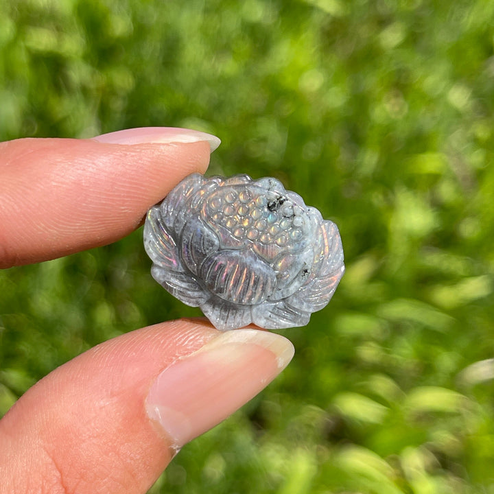 Natural Crystal Labradorite Lotus Carving