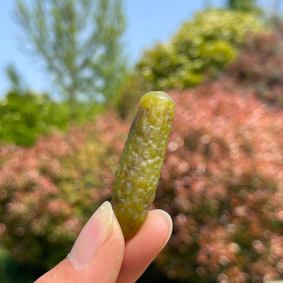 Cornichon de jade Xiuyan