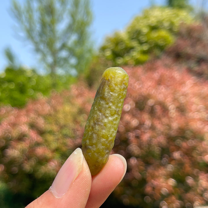 Cornichon de jade Xiuyan