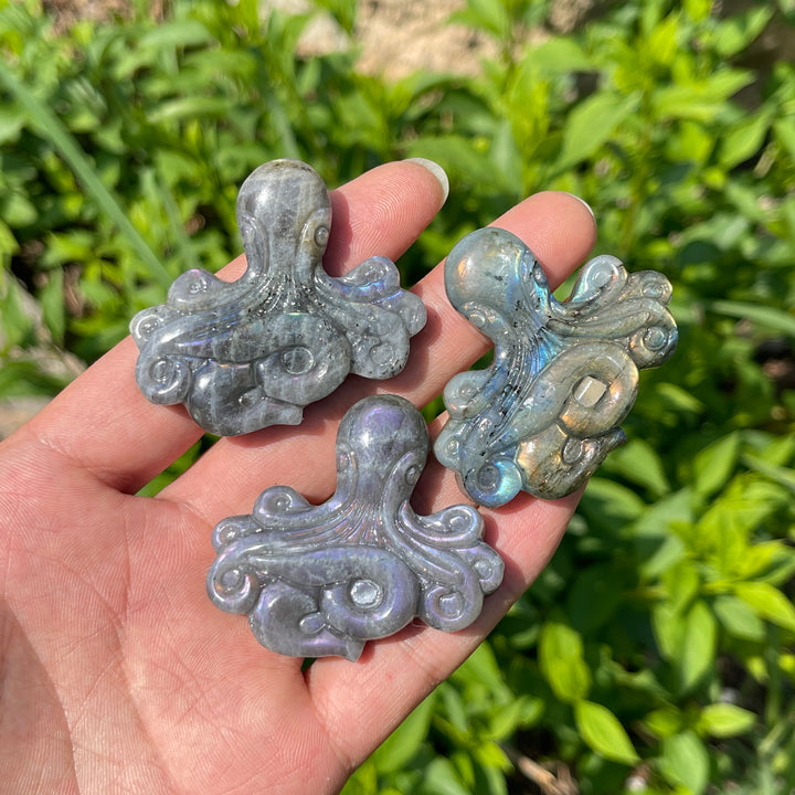 Natural Crystal Labradorite Octopus Carving