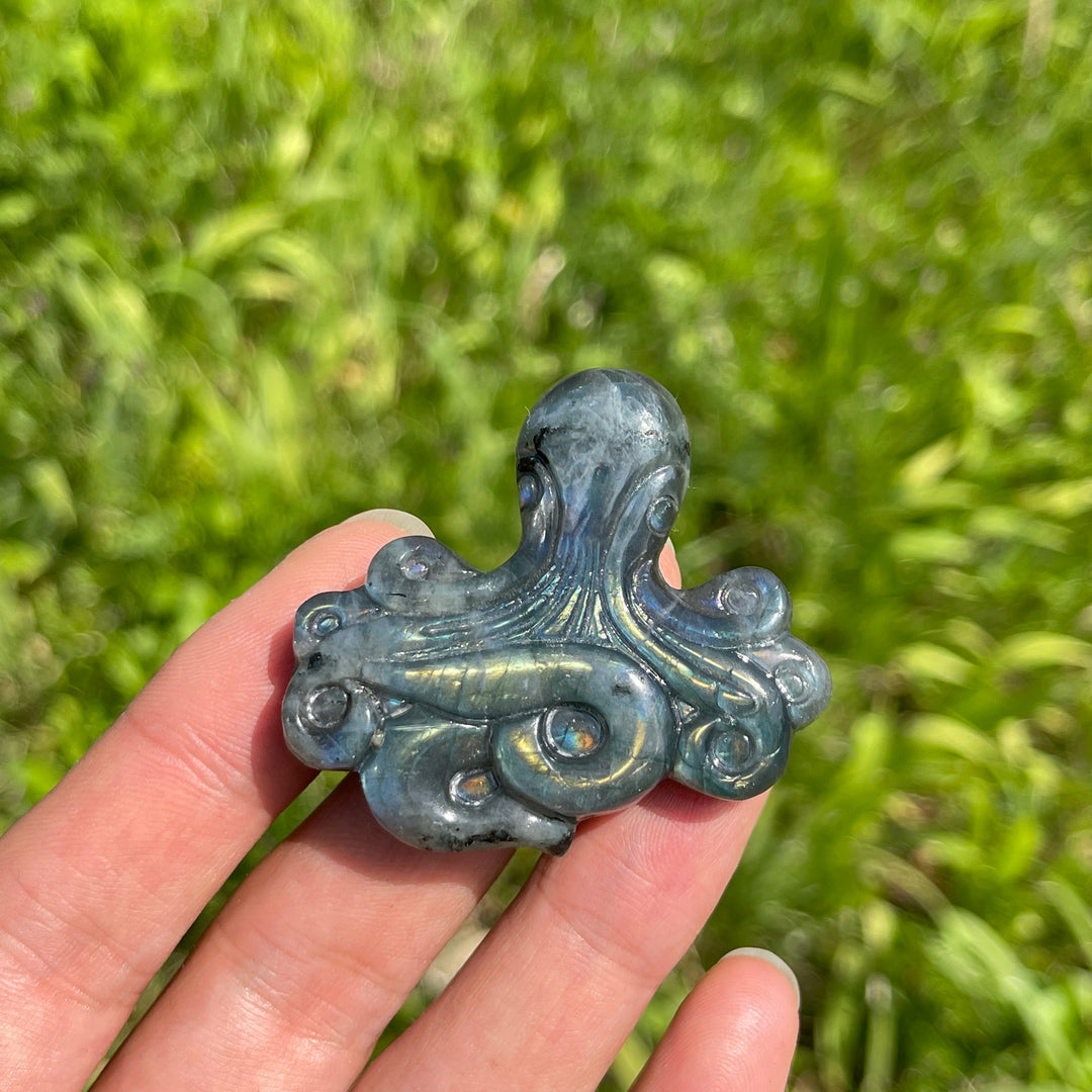 Natural Crystal Labradorite Octopus Carving